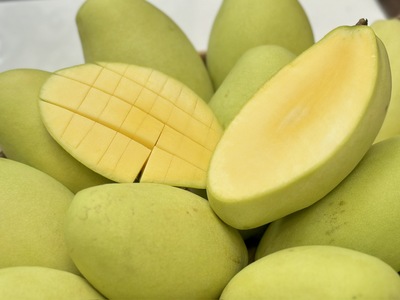 Mango (Xoài) illustration