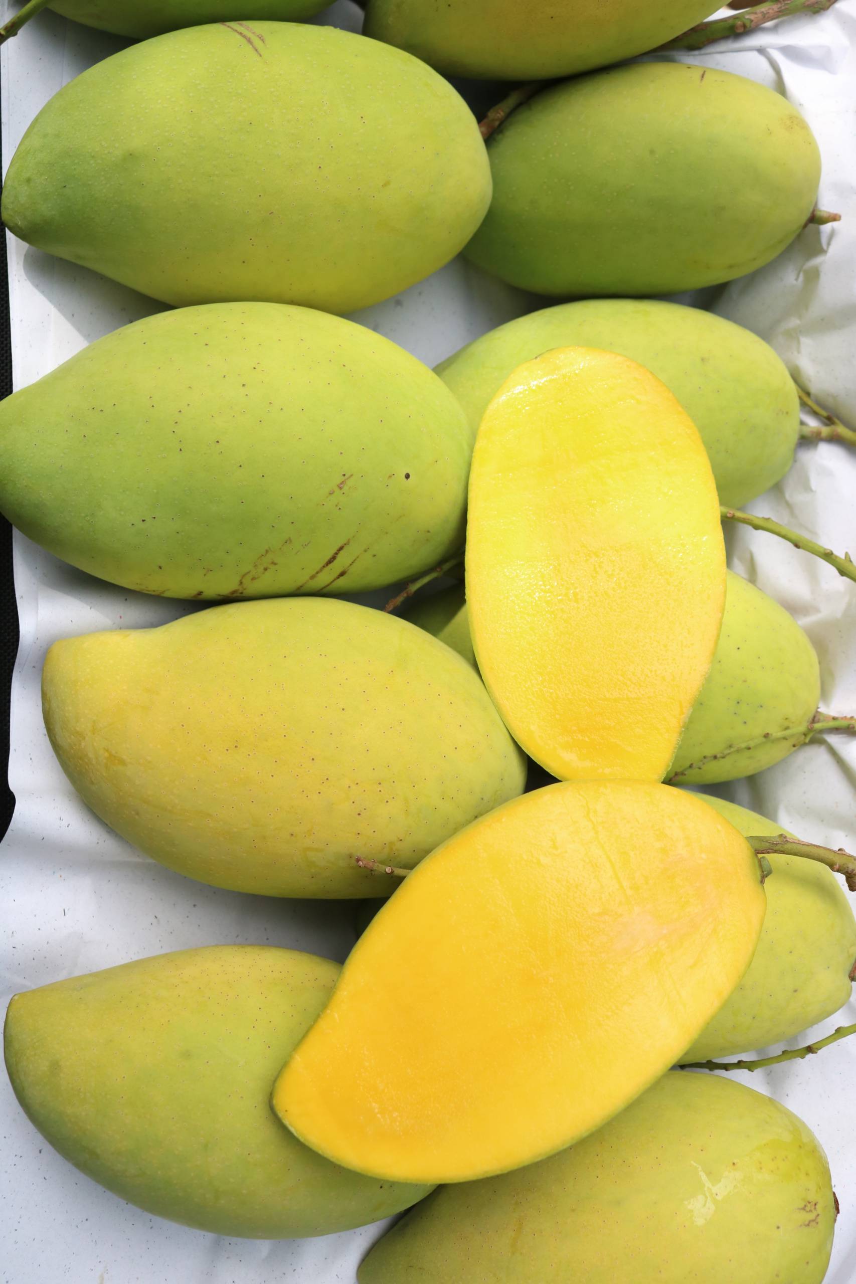 Mango packing