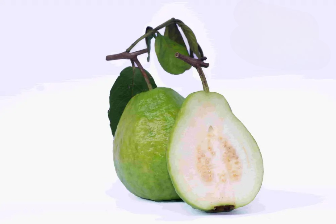 Guava